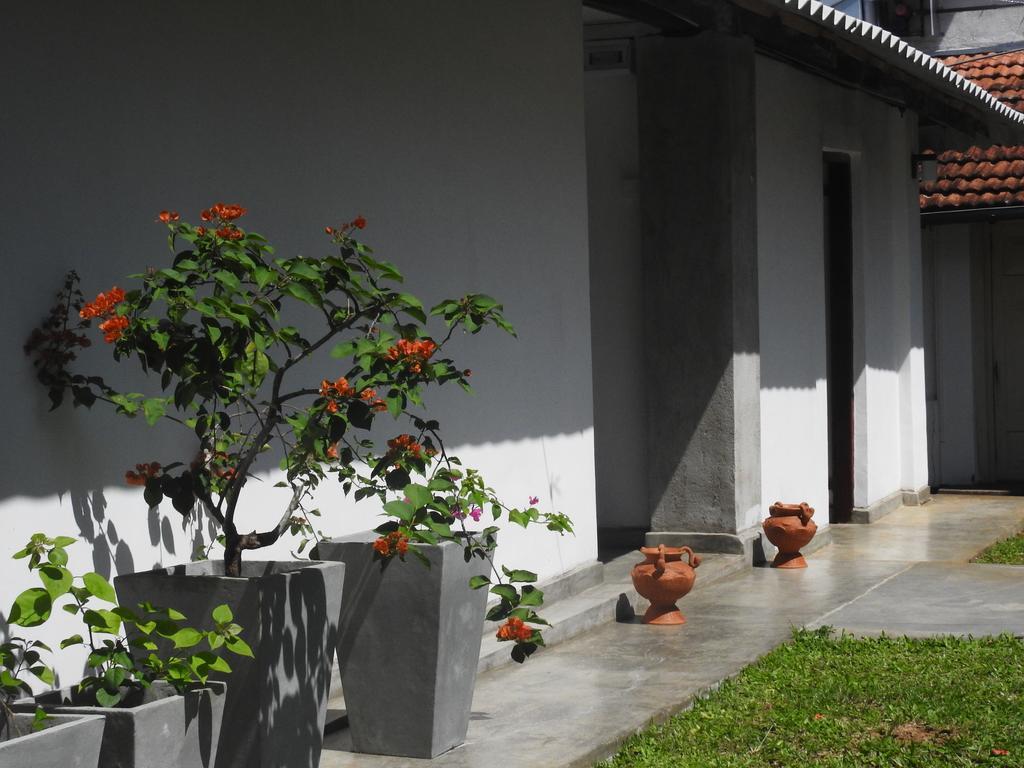 Wattarantanne Homestay Kandy Exterior foto
